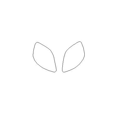 FORD Puma koplampen / voorlampen beschermfolies (2019-)