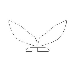 Opel INSIGNIA A 1 I pred FL reflektory / svetlá fólie ochranné (2008-2013)