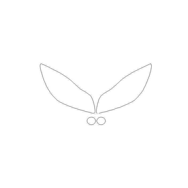 INSIGNIA A 1 I po FL reflektory / lampy predné fólie ochranné (2013-2015)