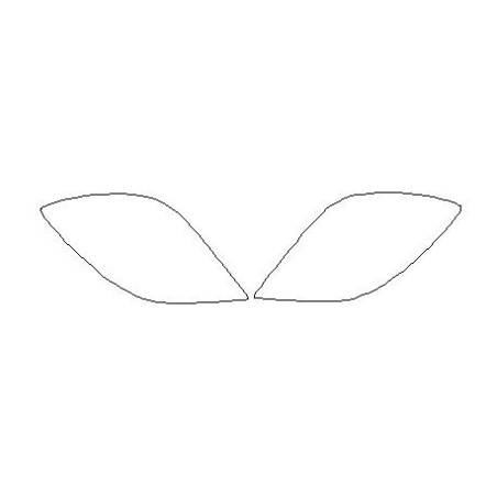 Φώτα προστατευτικό μεμβράνης για Mercedes Sprinter II W906 (2006-2014)