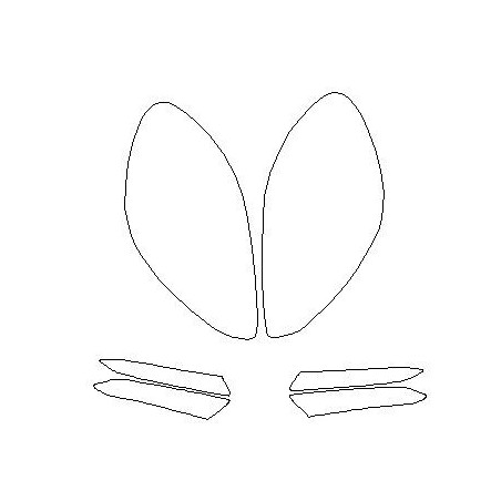 Porsche Panamera II 971 első fényszóró / lámpa védőfóliák (2016-2023)