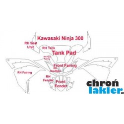 Kawasaki Ninja 300 - naklejki  / folie ochronne - zestaw 