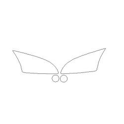 FORD FOCUS II (2) foran FL forlygter / forlygter beskyttelsesfilm (2004-2007)