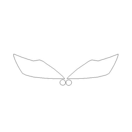 FORD FOCUS II (2) efter FL framskärmar / främre lampfilmer (2007-2011).