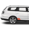 VW PASSAT B6 bagdør bagpanel beskyttelsesfolie (2005-2010)