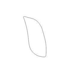 FORD S-MAX hátsó ajtó védőfóliák (2006–2014)