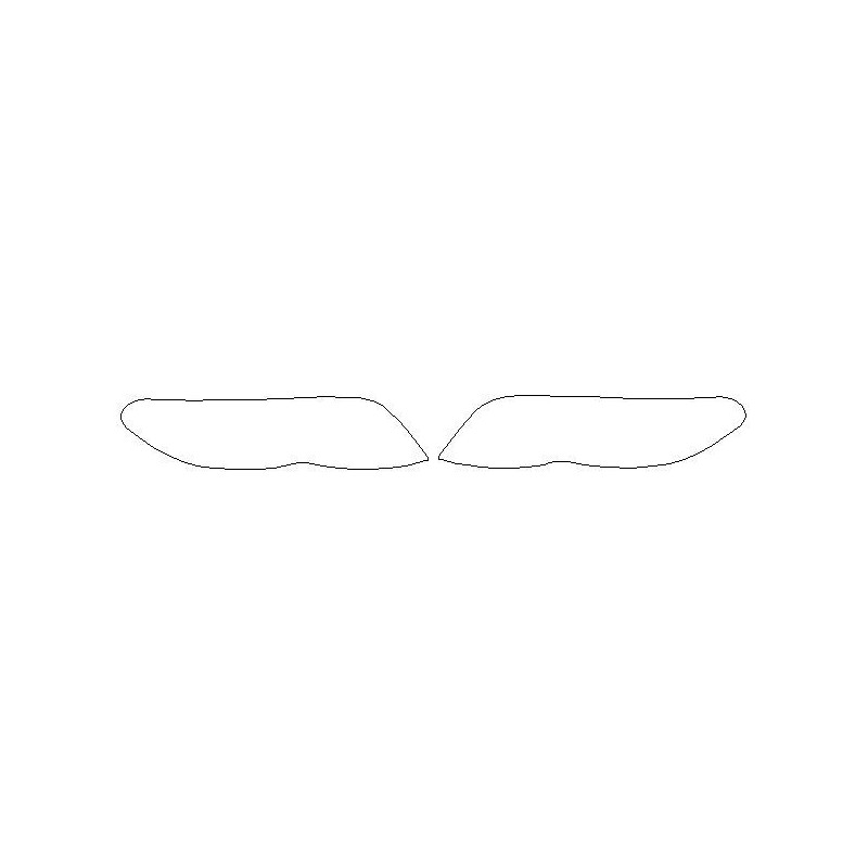 Foliile frontale de protecție pentru farurile / luminile frontale BMW X5 E53 FL LCI (2003-2006)