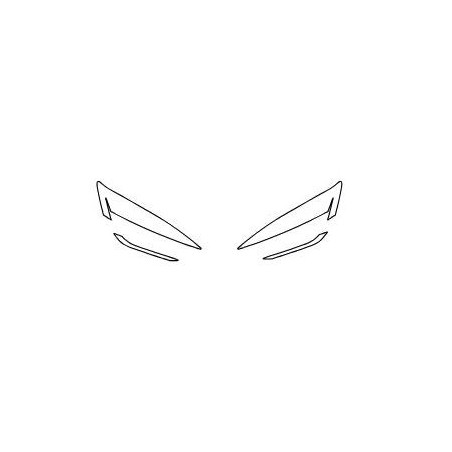 BYD Sealion 7 films de protection pour phares / feux avant (2024-)