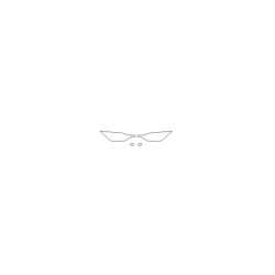 Polestar 2 suojakalvot etuvaloihin (2020-)
