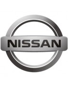Protective film for Nissan cars